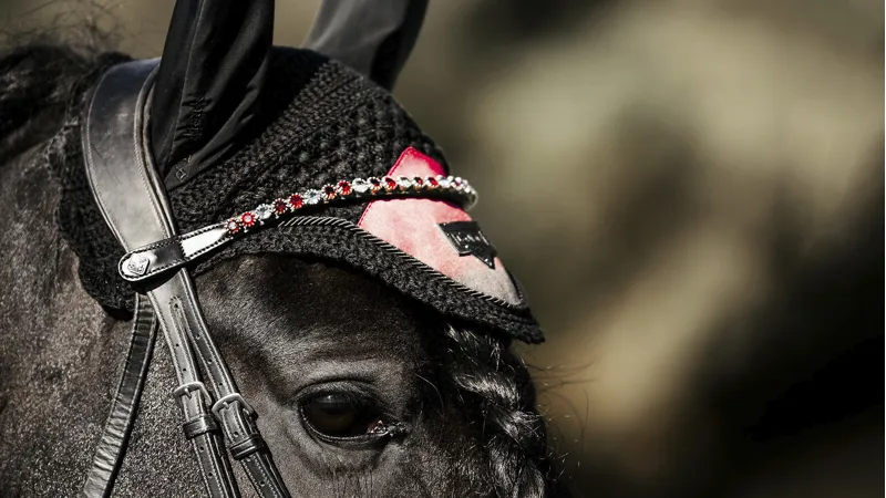 LeMieux Spectrum Saddlepad in Close Contact Mulberry-2